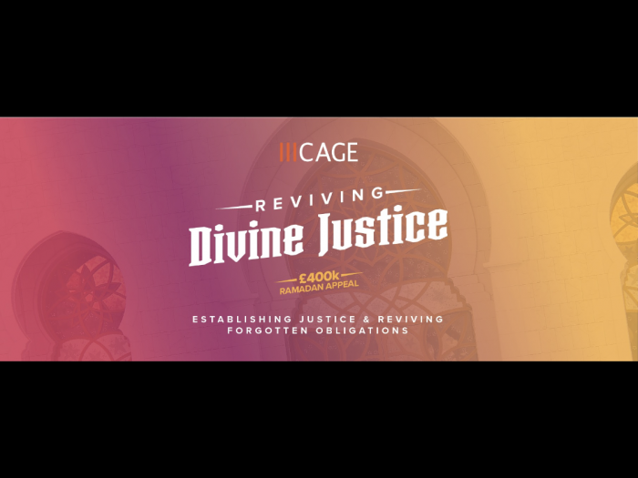 Dtablish Working to establish justice and revive forgotten obligations ...