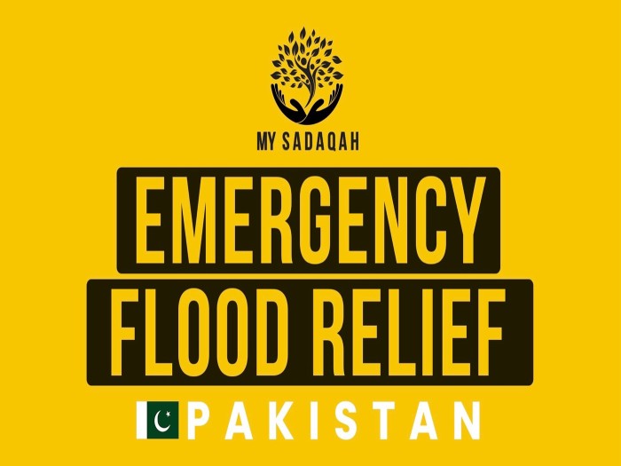 Pakistan Flood Emergency Relief Appeal | LaunchGood